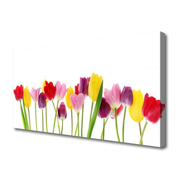 Canvas Kunstdruck Tulpen Pflanzen