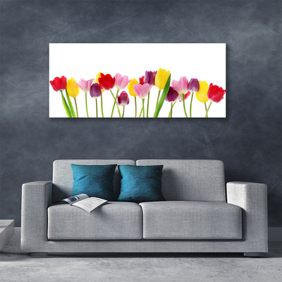 Canvas Kunstdruck Tulpen Pflanzen