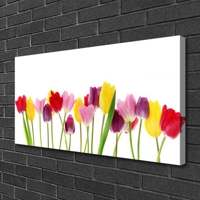 Canvas Kunstdruck Tulpen Pflanzen