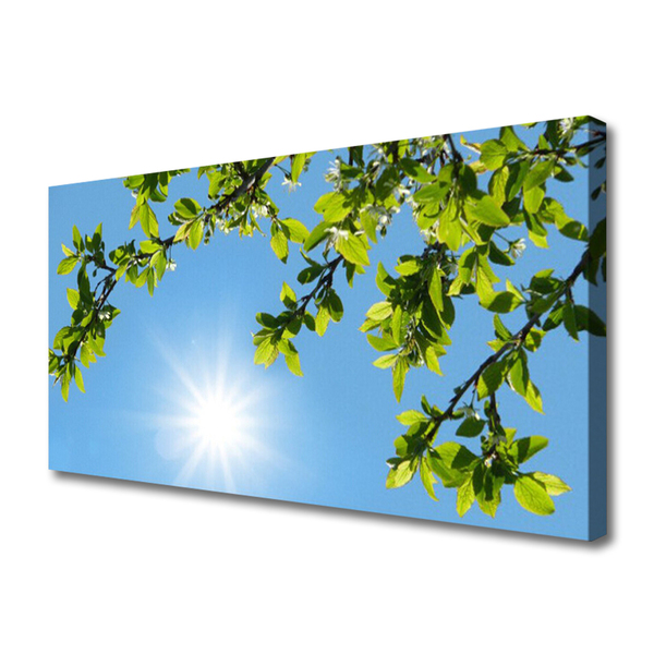 Canvas Kunstdruck Sonne Natur