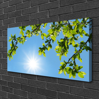 Canvas Kunstdruck Sonne Natur