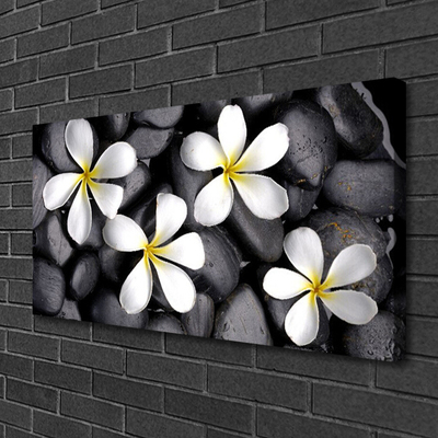 Canvas Kunstdruck Blumen Pflanzen