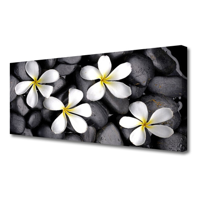 Canvas Kunstdruck Blumen Pflanzen