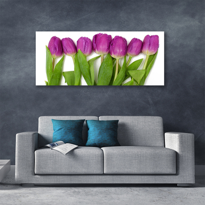 Canvas Kunstdruck Tulpen Pflanzen