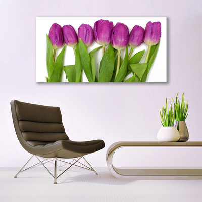 Canvas Kunstdruck Tulpen Pflanzen