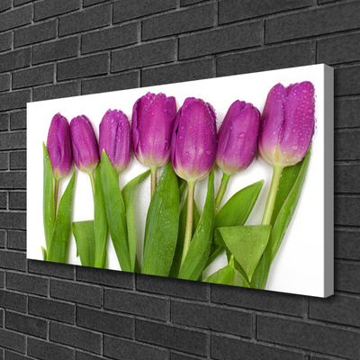 Canvas Kunstdruck Tulpen Pflanzen