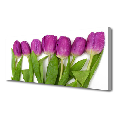 Canvas Kunstdruck Tulpen Pflanzen