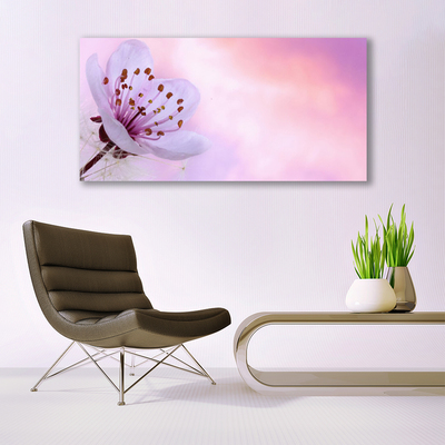 Canvas Kunstdruck Blume Pflanzen