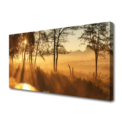 Canvas Kunstdruck Bäume Natur