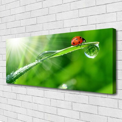 Canvas Kunstdruck Gras Sonne Marienkäfer Natur