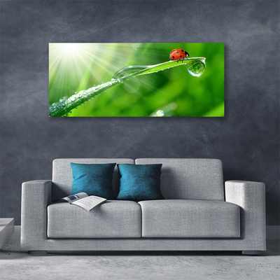 Canvas Kunstdruck Gras Sonne Marienkäfer Natur
