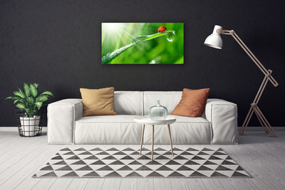 Canvas Kunstdruck Gras Sonne Marienkäfer Natur