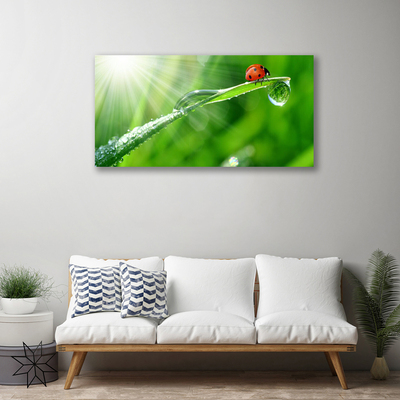 Canvas Kunstdruck Gras Sonne Marienkäfer Natur
