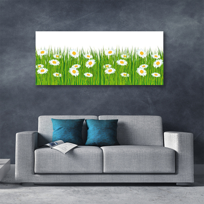 Canvas Kunstdruck Gras Gänseblümchen Natur