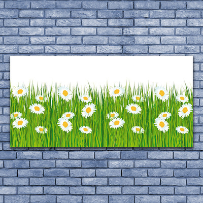 Canvas Kunstdruck Gras Gänseblümchen Natur