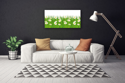 Canvas Kunstdruck Gras Gänseblümchen Natur