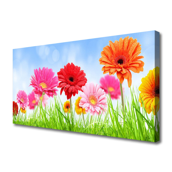 Canvas Kunstdruck Blumen Gras Pflanzen