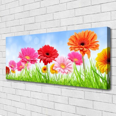 Canvas Kunstdruck Blumen Gras Pflanzen