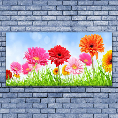 Canvas Kunstdruck Blumen Gras Pflanzen