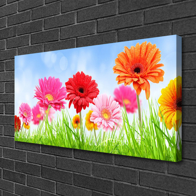 Canvas Kunstdruck Blumen Gras Pflanzen