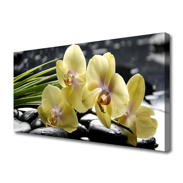 Canvas Kunstdruck Blumen Pflanzen