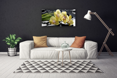 Canvas Kunstdruck Blumen Pflanzen