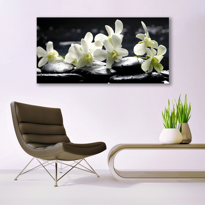 Canvas Kunstdruck Blumen Steine Pflanzen