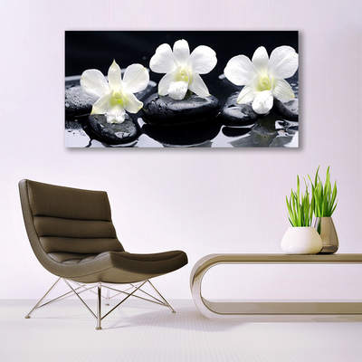 Canvas Kunstdruck Blumen Steine Pflanzen