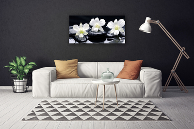 Canvas Kunstdruck Blumen Steine Pflanzen