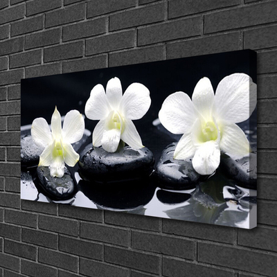 Canvas Kunstdruck Blumen Steine Pflanzen