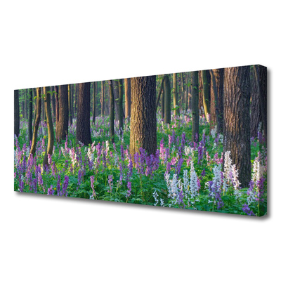 Canvas Kunstdruck Wald Natur