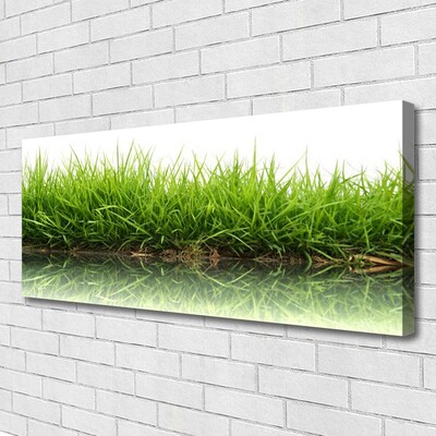 Canvas Kunstdruck Gras Natur