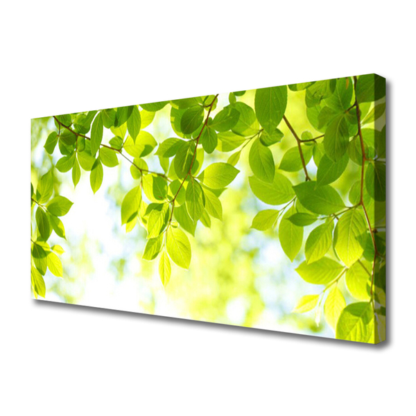Canvas Kunstdruck Blätter Natur