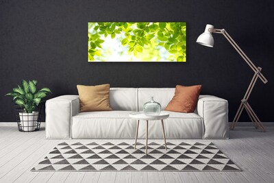 Canvas Kunstdruck Blätter Natur