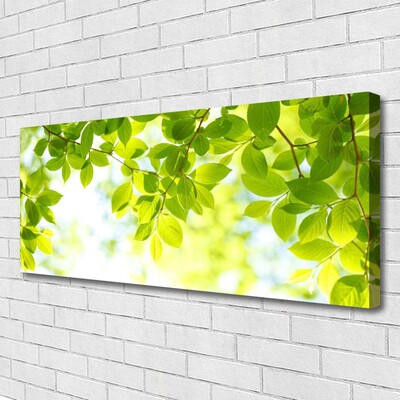 Canvas Kunstdruck Blätter Natur
