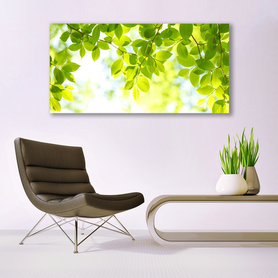 Canvas Kunstdruck Blätter Natur