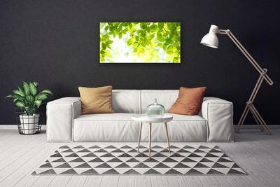 Canvas Kunstdruck Blätter Natur