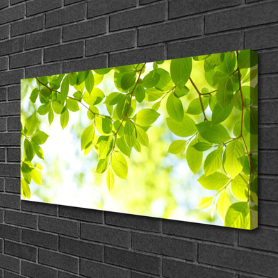 Canvas Kunstdruck Blätter Natur