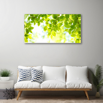 Canvas Kunstdruck Blätter Natur