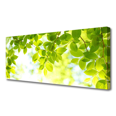 Canvas Kunstdruck Blätter Natur