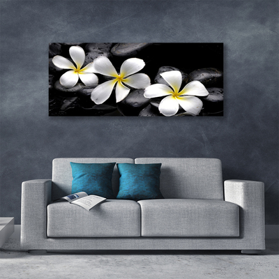 Canvas Kunstdruck Blumen Steine Pflanzen