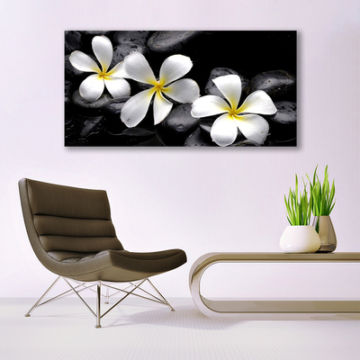 Canvas Kunstdruck Blumen Steine Pflanzen