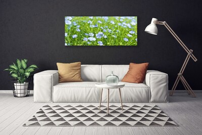 Canvas Kunstdruck Blumen Gras Natur