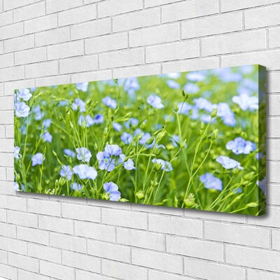 Canvas Kunstdruck Blumen Gras Natur