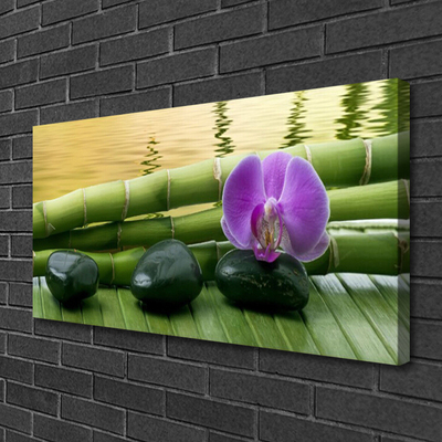 Canvas Kunstdruck Blume Steine Bambusrohre Pflanzen