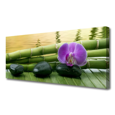 Canvas Kunstdruck Blume Steine Bambusrohre Pflanzen