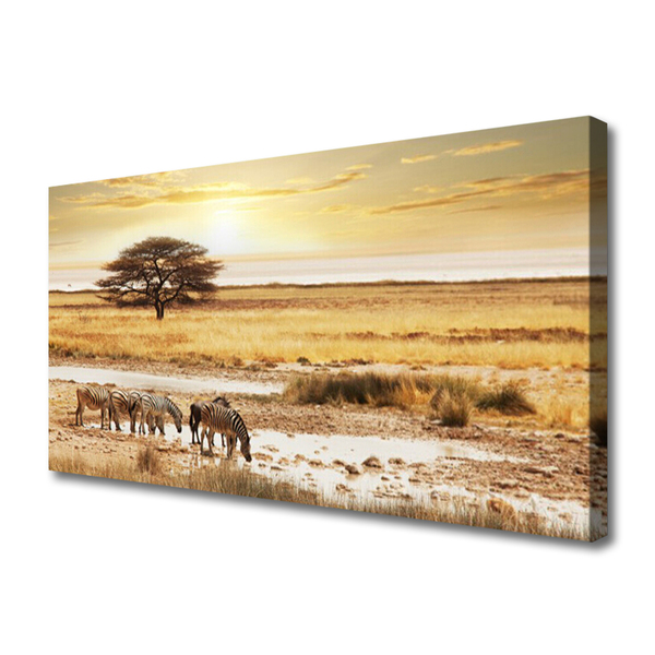Canvas Kunstdruck Wüste Landschaft