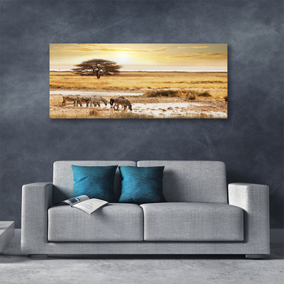 Canvas Kunstdruck Wüste Landschaft