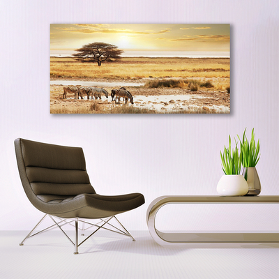 Canvas Kunstdruck Wüste Landschaft