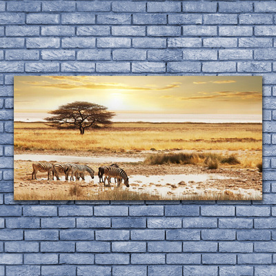 Canvas Kunstdruck Wüste Landschaft